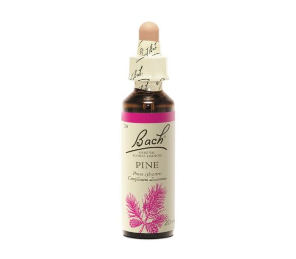 Bachblüte Kiefer Pinus sylvestris - Flasche mit 20 ml - image 1