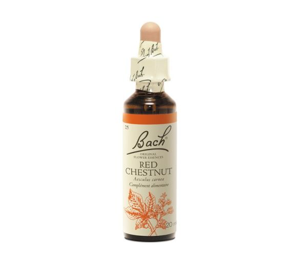 Bachblüte Rote Kastanie Aesculus carnea - Flasche mit 20 ml - image 1