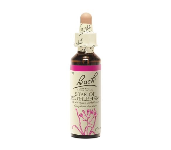 Bachblüte Stern von Bethlehem Ornithogalum umbellatum - Flasche mit 20 ml - image 1