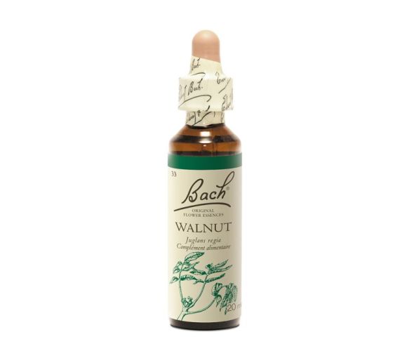 Bachblüte Walnuss Juglans regia - Flasche mit 20 ml - image 1