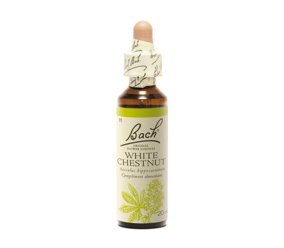 Bachblüte Weiße Rosskastanie Aesculus hippocastanum - Flasche mit 20 ml - image 1