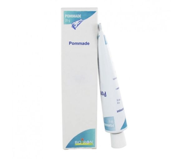 CANTHARIS Boiron - Tube mit 20 g