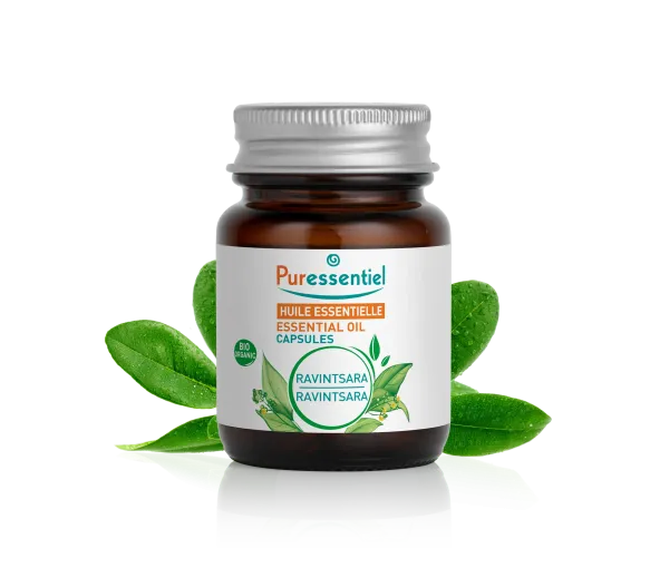 Bio Ravintsara ätherische Öl-Kapseln Puressentiel - 60 Kapseln pro Packung - image 1