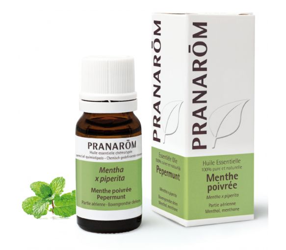 Pfefferminzöl Pranarom - Flasche mit 10ml