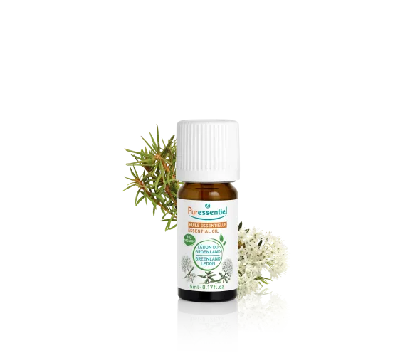 Bio ätherisches Öl von Grönland-Ledum Puressentiel - Flasche mit 5 ml - image 1