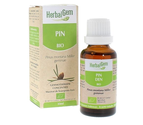 BIO-Kiefernadel Herbalgem - 30 ml