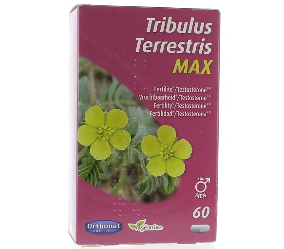 Tribulus Terrestris Max Orthonat - 60 Kapseln