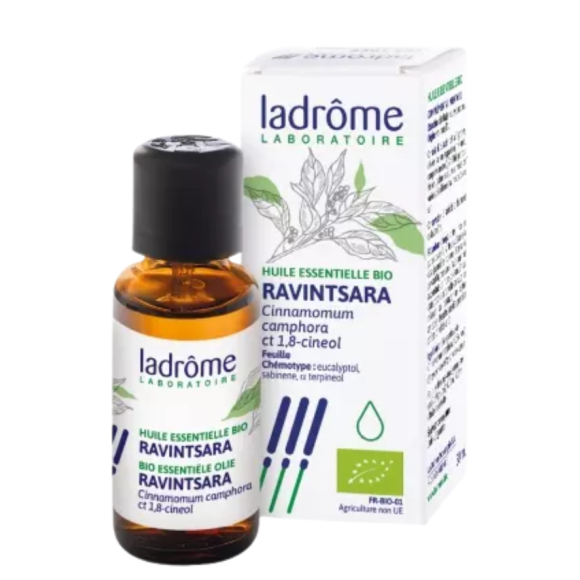 Bio ätherisches Öl Ravintsara Ladrôme - Flasche mit 30 ml