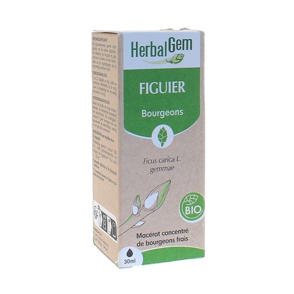 BIO Feigen Herbalgem - 30 ml