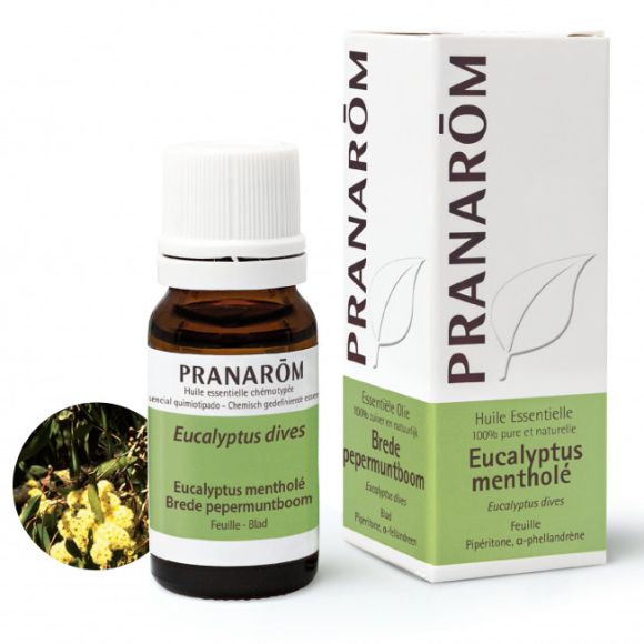 Ätherisches Öl Eukalyptus Menthol Pranarôm - Flasche mit 10 ml