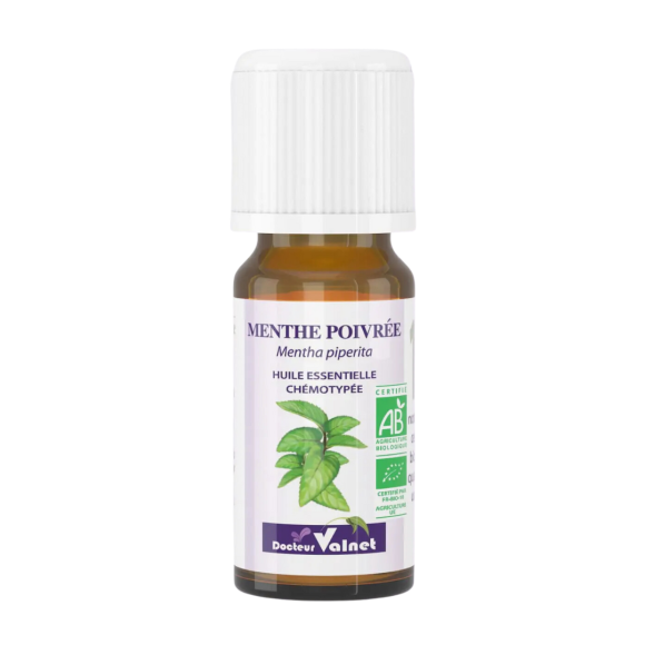 Ätherisches Öl Pfefferminze Bio Dr. Valnet - 10 ml