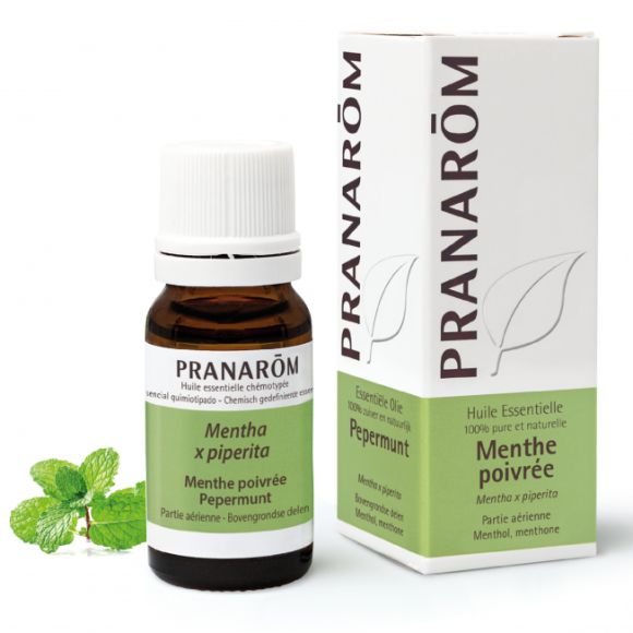Pfefferminzöl Pranarom - Flasche mit 10ml