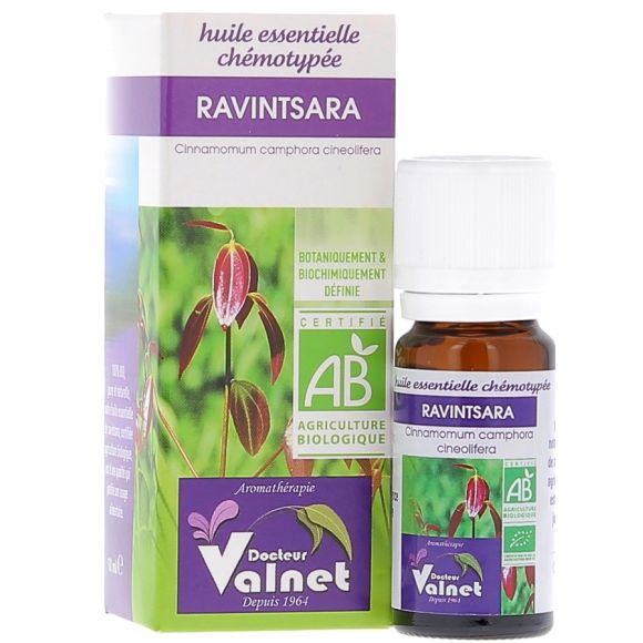Ätherisches Öl Ravintsara Bio Dr. Valnet - 10 ml
