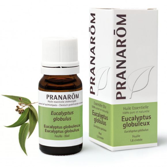 Ätherisches Öl von Eukalyptus globulus Pranarôm - Flasche mit 10 ml