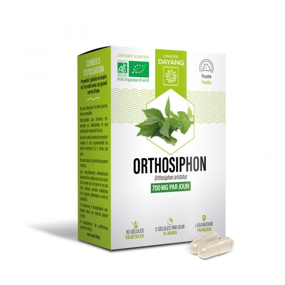 Orthosiphon bio Dayang - Packung mit 30 Kapseln
