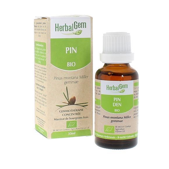 BIO-Kiefernadel Herbalgem - 30 ml