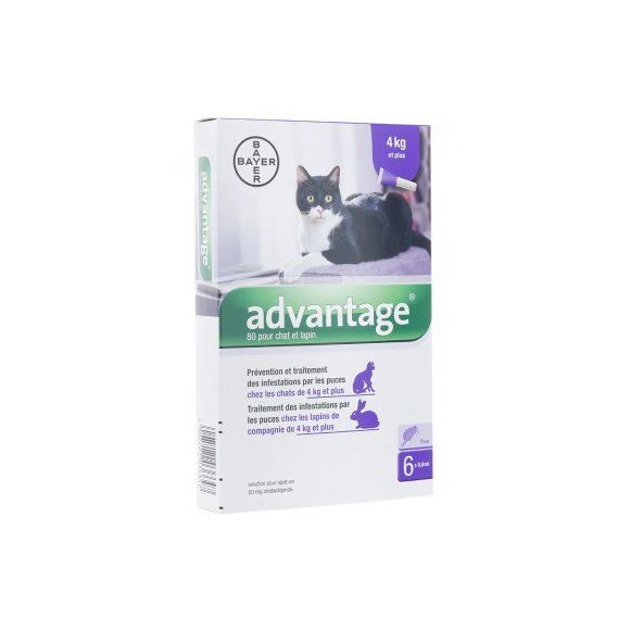 Vorteil 80 für Katzen und Kaninchen über 4 kg Bayer - Schachtel mit 6 Pipetten