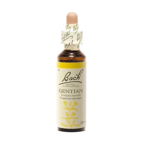 Bachblüte Gentian Gentiana amarella - Flasche mit 20 ml