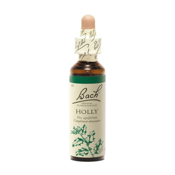 Bachblüte Holly Ilex aquifolium - Flasche mit 20 ml