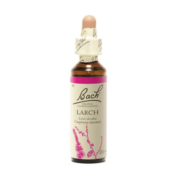 Bachblüte Lärche Larix decidua - Flasche mit 20 ml