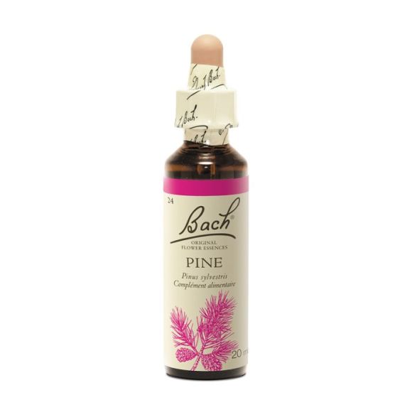 Bachblüte Kiefer Pinus sylvestris - Flasche mit 20 ml