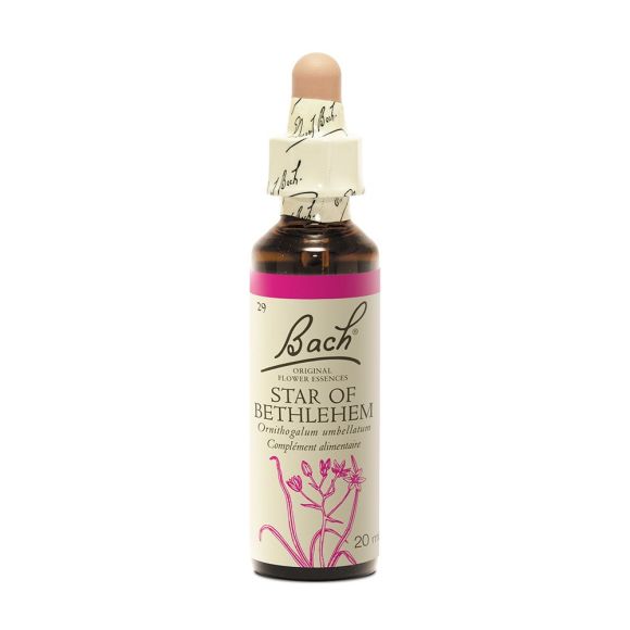 Bachblüte Stern von Bethlehem Ornithogalum umbellatum - Flasche mit 20 ml