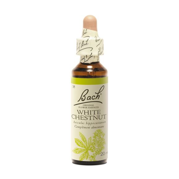 Bachblüte Weiße Rosskastanie Aesculus hippocastanum - Flasche mit 20 ml