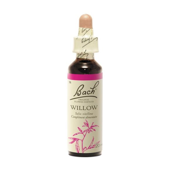 Bachblüte Weide Salix vitellina - Flasche mit 20 ml