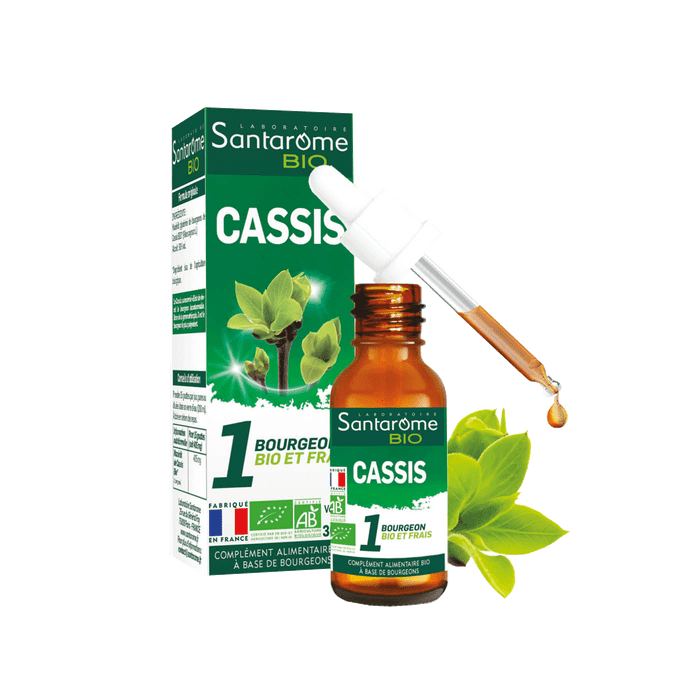 1 bourgeon BIO et frais cassis Santarome - flacon de 30 ml