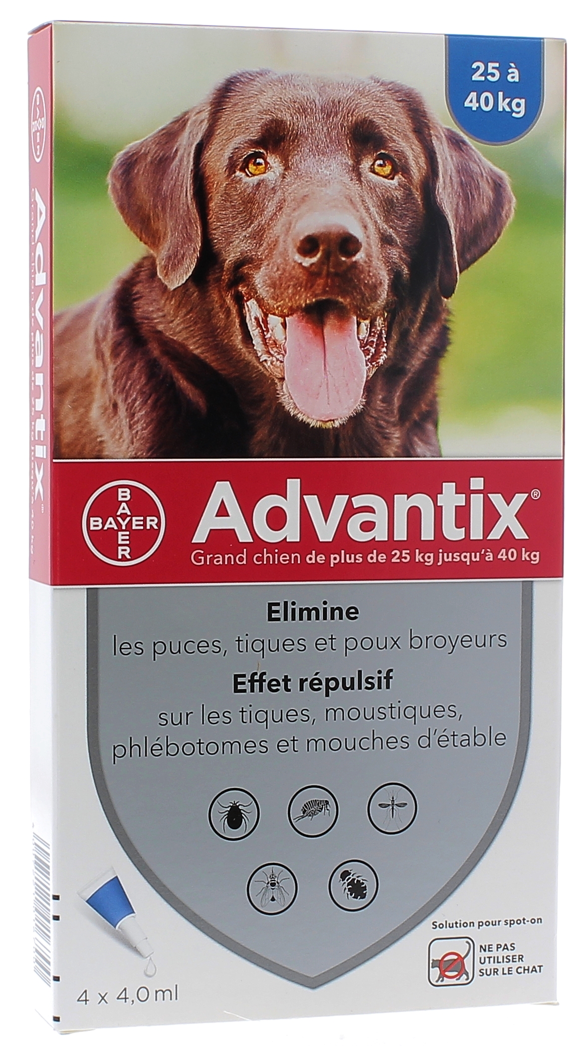 Advantix grand chien de plus de 25 kg Bayer - boite de 4 pipettes