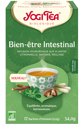 Bien-être intestinal bio Yogi Tea - boîte de 17 sachets