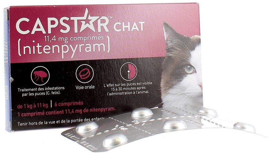 capstar comprimé anti-puce à activité fulgurante destiné aux chats