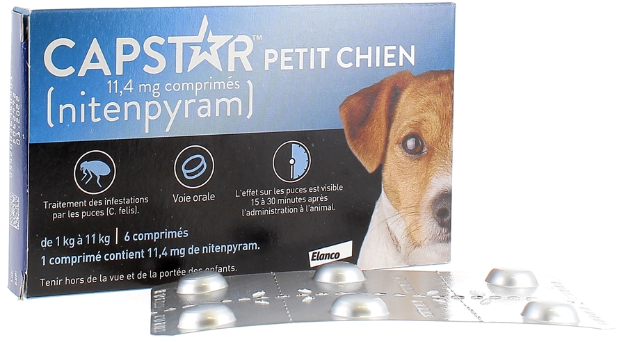 médicament Capstar petit chien 11,4 mg traitement des puces