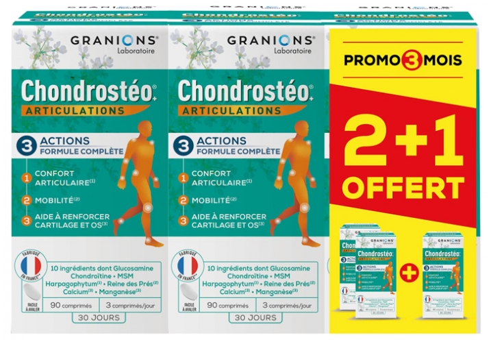 Chrondrosteo Programme de 3 mois Granions - boite de 270 comprimés