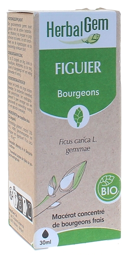 Figuier BIO Herbalgem - 30 ml