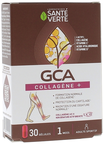 GCA FLEX + Protection Cartilage Santé Verte - boîte de 30 gélules végétales