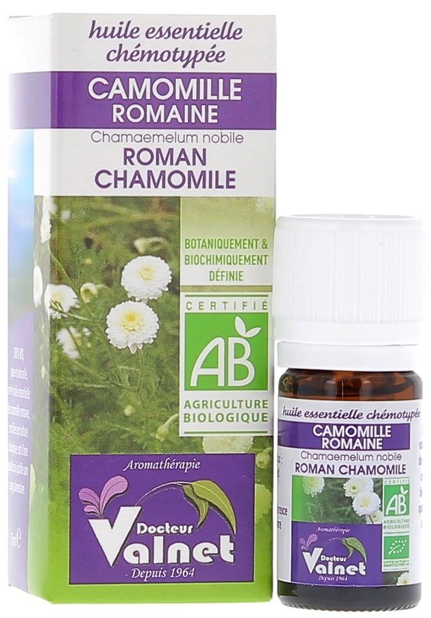 Huile essentielle de camomille romaine : utilisation et bienfaits