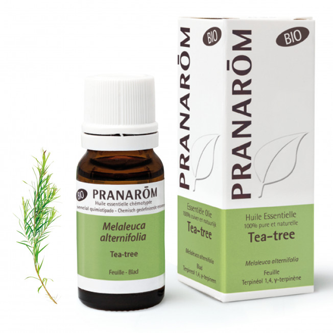 Huile essentielle Tea tree bio Pranarom - flacon de 10ml