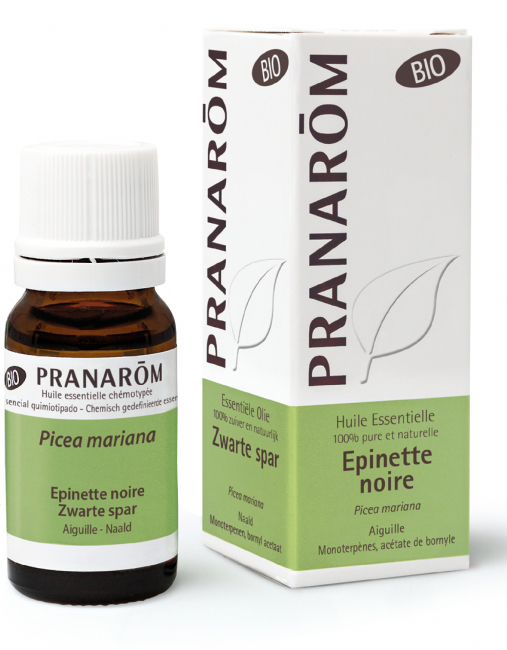 Huile essentielle d'Epinette noire Bio Pranarôm - flacon de 10 ml