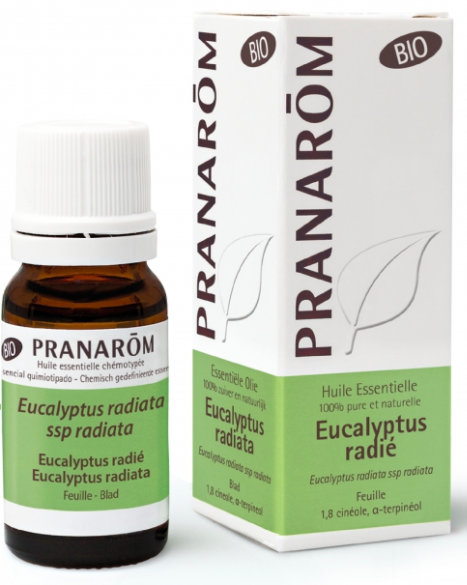 Huile essentielle d'Eucalyptus radié bio Pranarôm - flacon de 10 ml