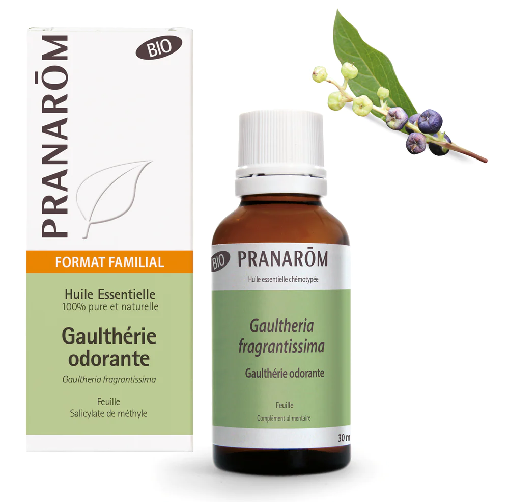 Huile essentielle de Gaulthérie odorante bio Pranarôm - flacon de 30 ml