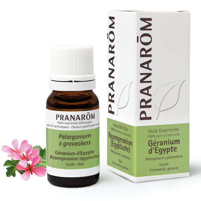 Huile essentielle de Géranium d'Egypte Pranarôm - flacon de 10 ml