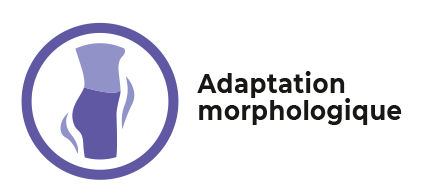 collant de contention adaptation morphologique