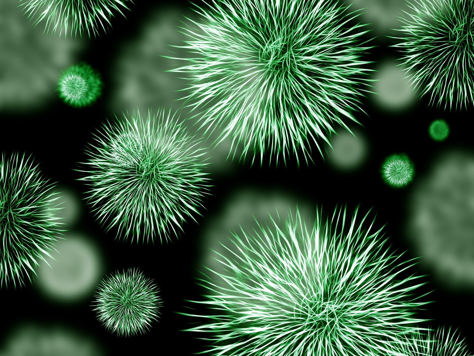 virus de la grippe