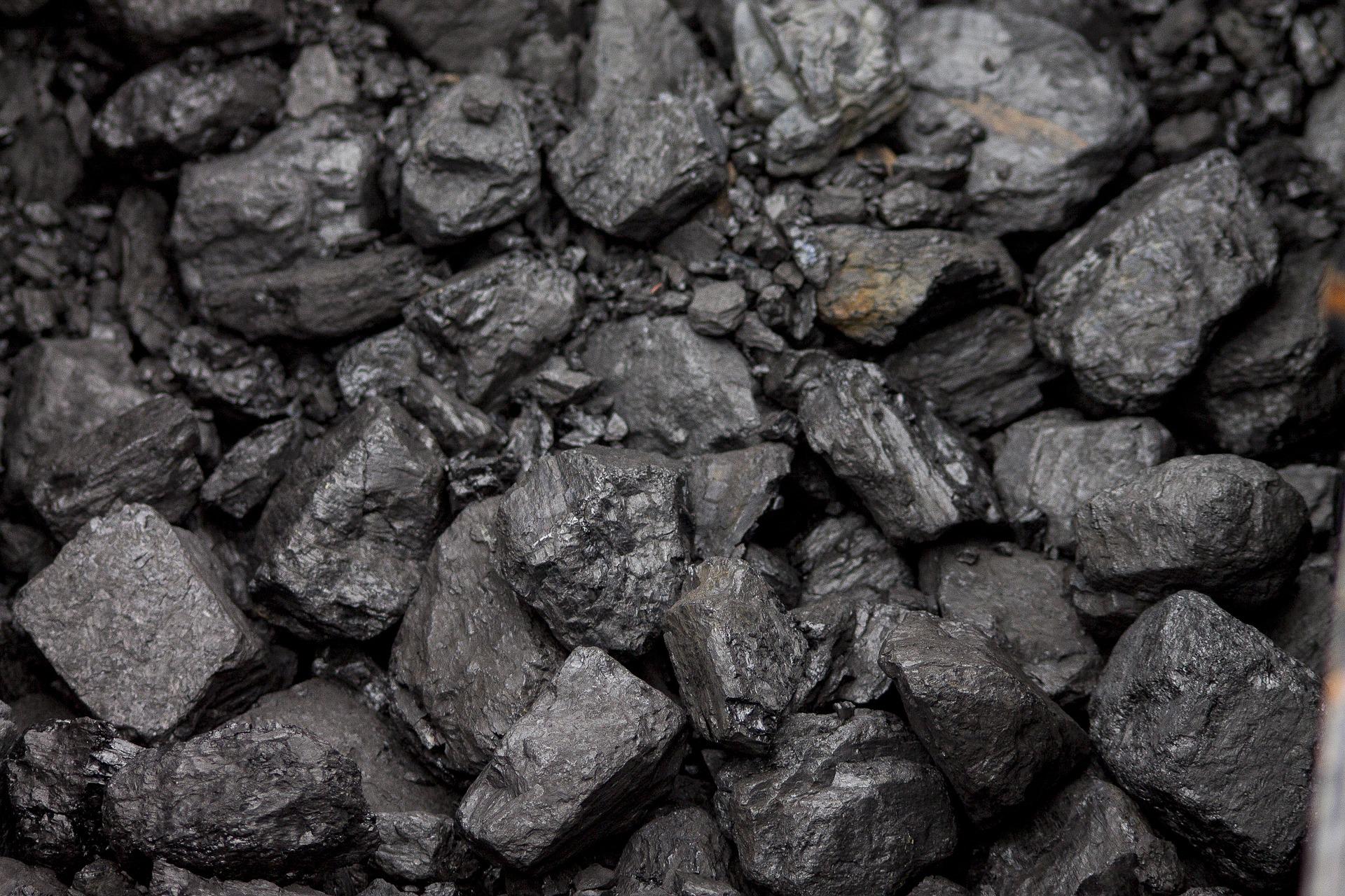 charbon de belloc