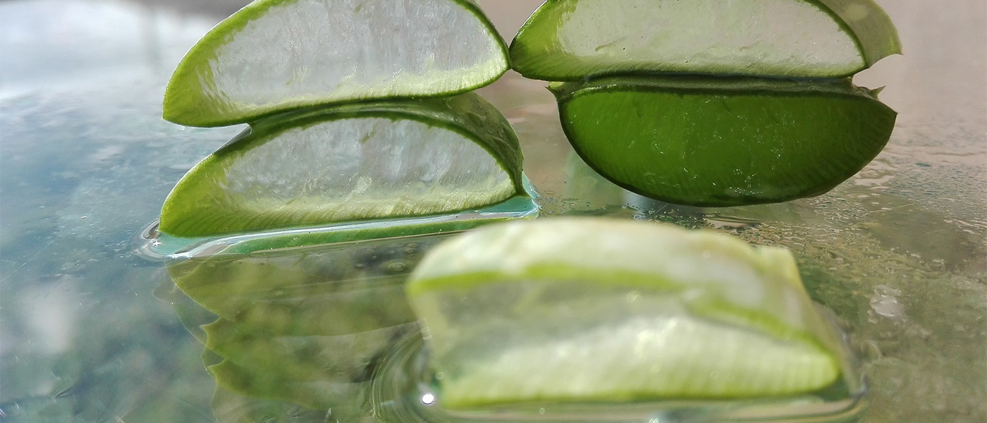 gel d'aloe vera