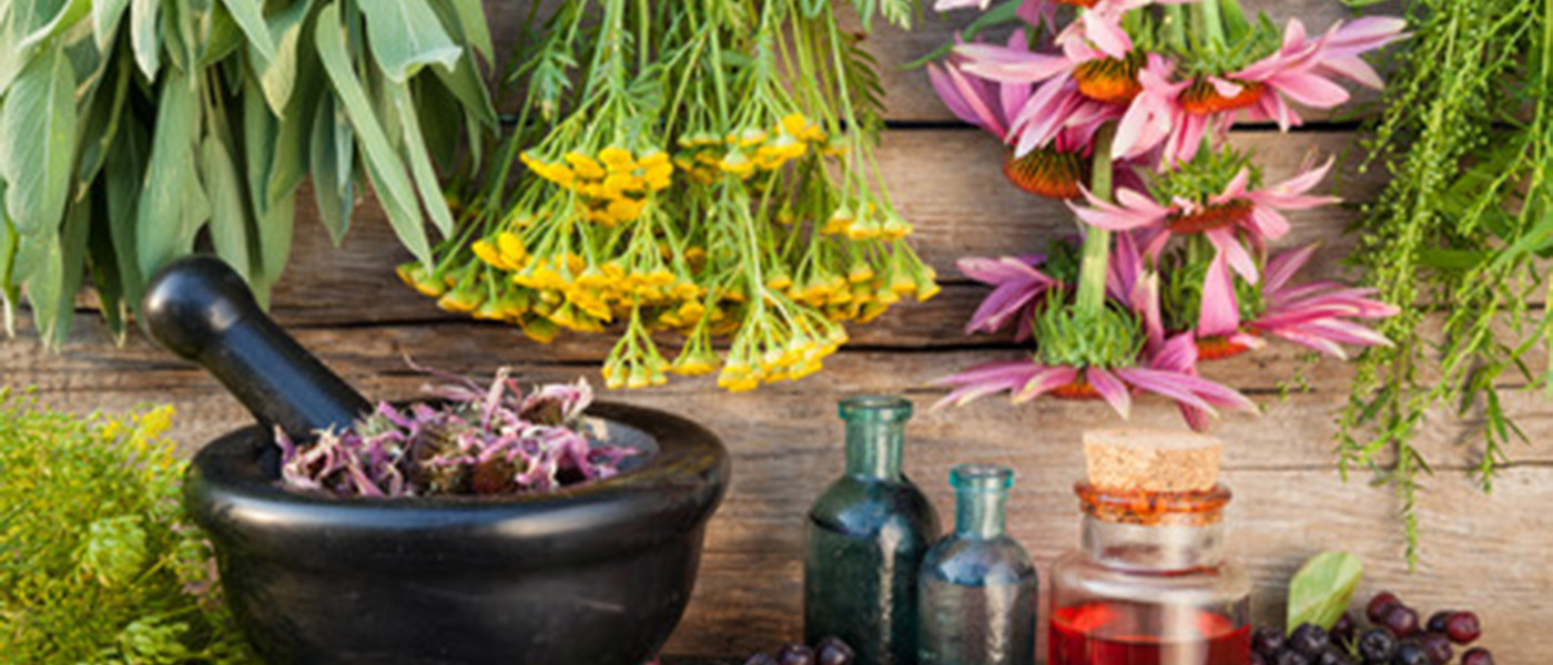phytothérapie contre la douleur
