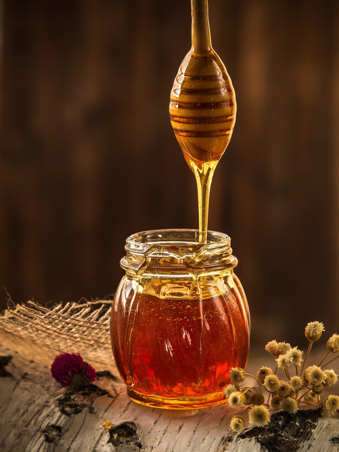 propolis 