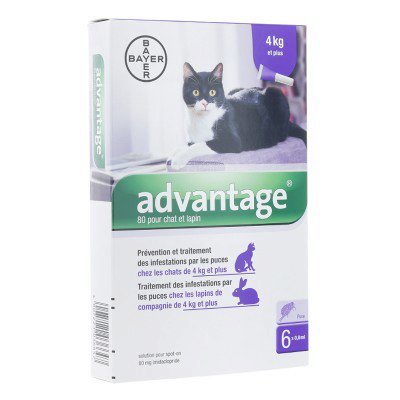 Advantage 80 pour chat et lapin plus de 4 kg Bayer - boite de 6 pipettes