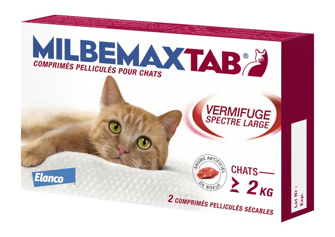 Vermifuge Chat Pipette Trouvez Tous Les Vermifuges En Pipette Pour Votre Chat